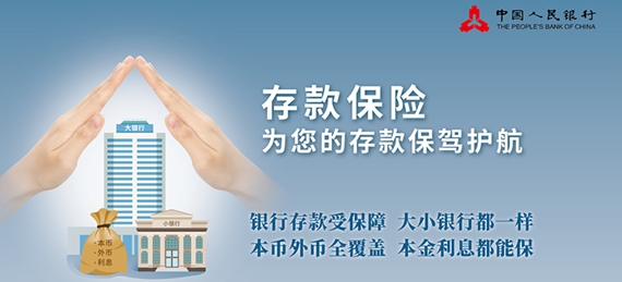 存款保险